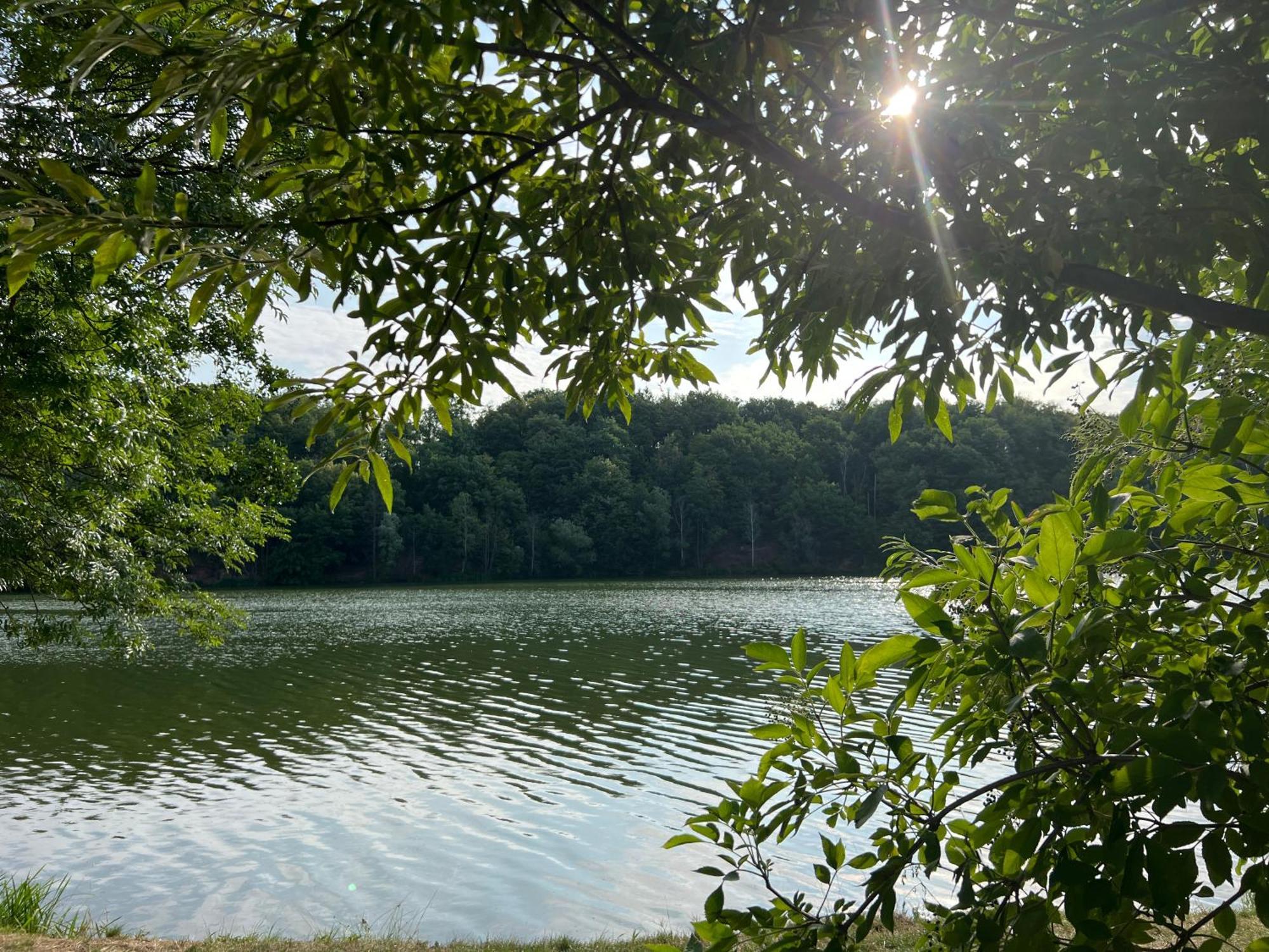 Langenbernsdorf Ferienwohnungen Brenner Einchecken Und Wohlfuehlen מראה חיצוני תמונה